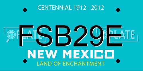 FSB29E New Mexico License Plate