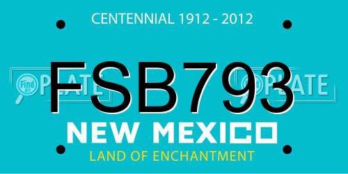 FSB793 New Mexico License Plate