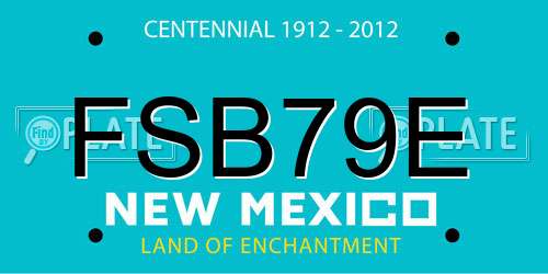 FSB79E New Mexico License Plate