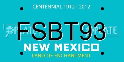 FSBT93 New Mexico License Plate