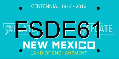 FSDE61 New Mexico License Plate