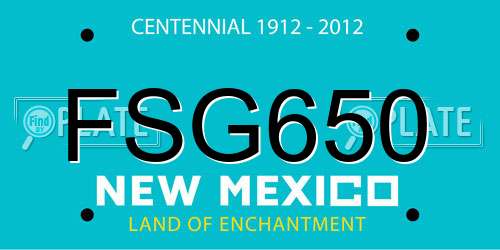 FSG650 New Mexico License Plate