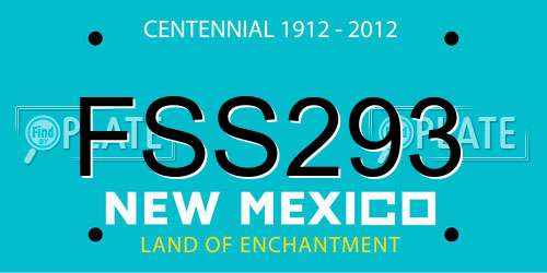 FSS293 New Mexico License Plate
