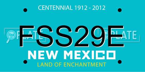 FSS29E New Mexico License Plate