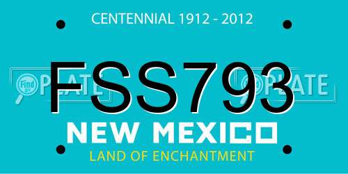 FSS793 New Mexico License Plate