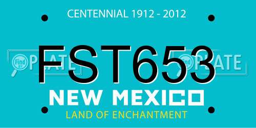 FST653 New Mexico License Plate