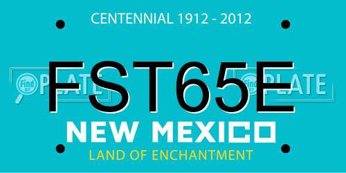 FST65E New Mexico License Plate
