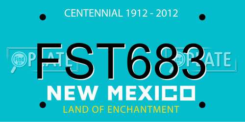 FST683 New Mexico License Plate