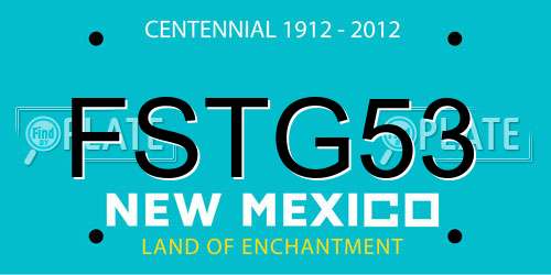 FSTG53 New Mexico License Plate