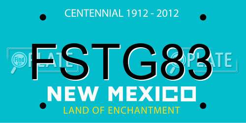 FSTG83 New Mexico License Plate