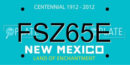 FSZ65E New Mexico License Plate