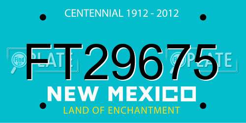 FT29675 New Mexico License Plate
