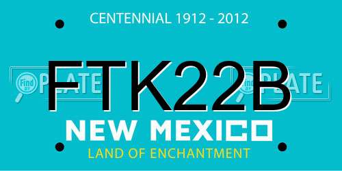 FTK22B New Mexico License Plate