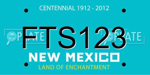 FTS123 New Mexico License Plate