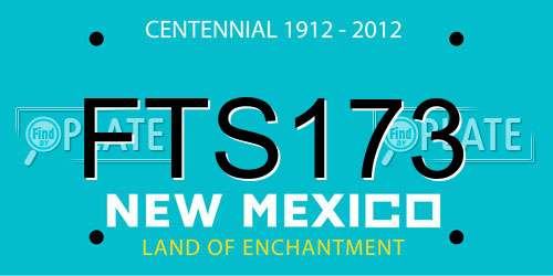 FTS173 New Mexico License Plate