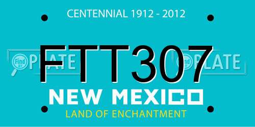 FTT307 New Mexico License Plate