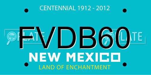 FVDB60 New Mexico License Plate