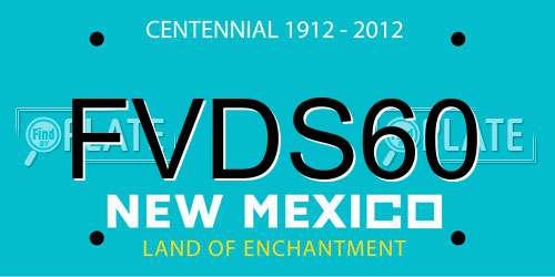 FVDS60 New Mexico License Plate