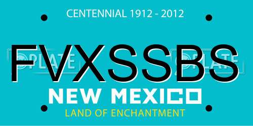 FVXSSBS New Mexico License Plate