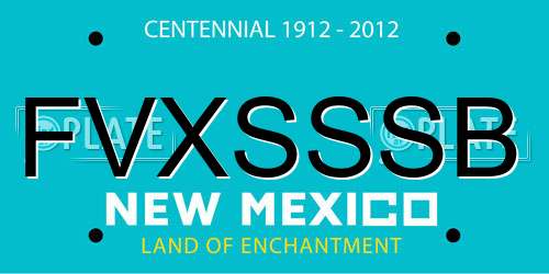 FVXSSSB New Mexico License Plate
