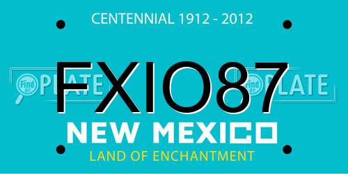 FXIO87 New Mexico License Plate