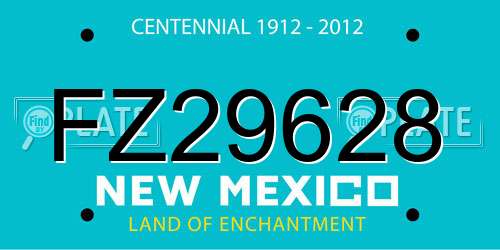 FZ29628 New Mexico License Plate