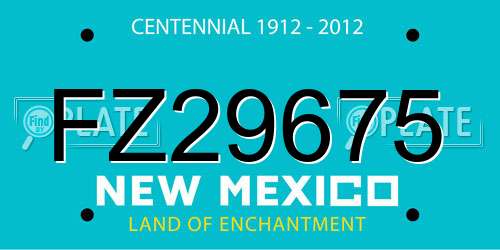 FZ29675 New Mexico License Plate