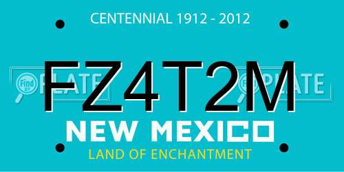 FZ4T2M New Mexico License Plate