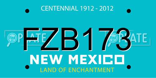 FZB173 New Mexico License Plate