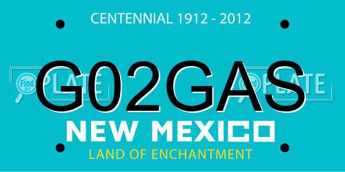 G02GAS New Mexico License Plate