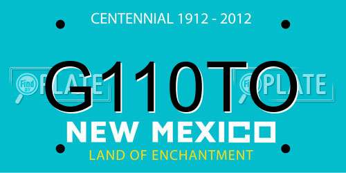 G110TO New Mexico License Plate
