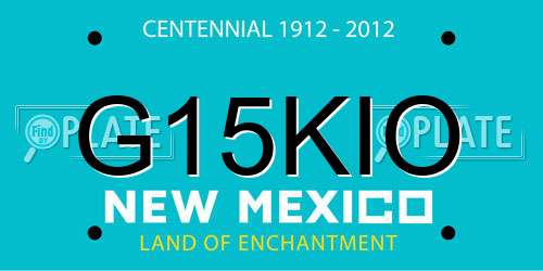G15KIO New Mexico License Plate