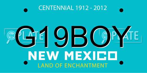 G19BOY New Mexico License Plate