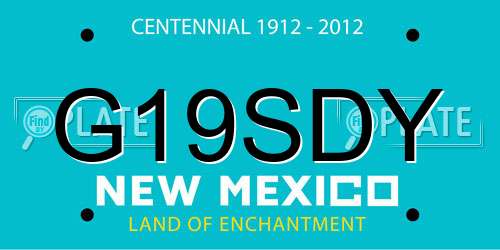 G19SDY New Mexico License Plate