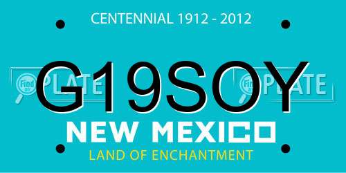 G19SOY New Mexico License Plate