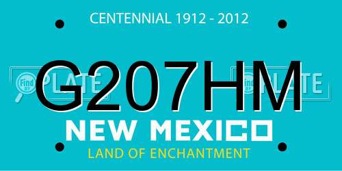 G207HM New Mexico License Plate