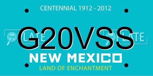 G20VSS New Mexico License Plate