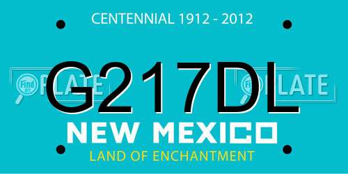 G217DL New Mexico License Plate