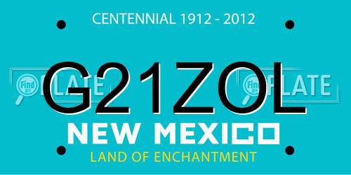 G21ZOL New Mexico License Plate