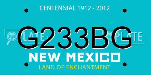 G233BG New Mexico License Plate