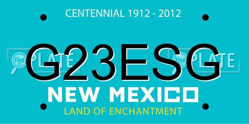 G23ESG New Mexico License Plate