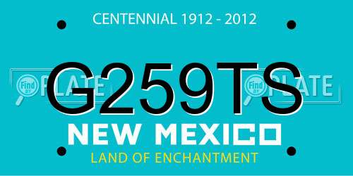 G259TS New Mexico License Plate