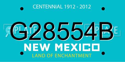 G28554B New Mexico License Plate