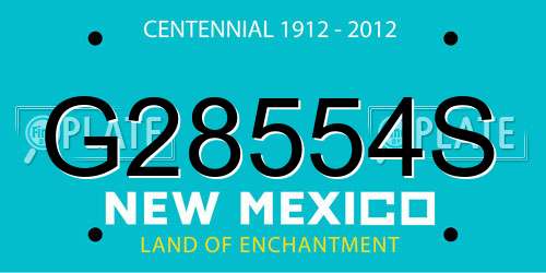 G28554S New Mexico License Plate