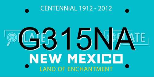 G315NA New Mexico License Plate