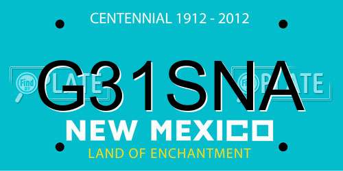 G31SNA New Mexico License Plate