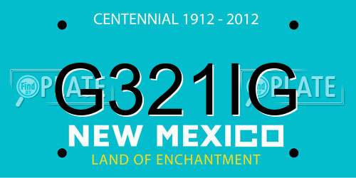 G321IG New Mexico License Plate