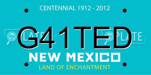 G41TED New Mexico License Plate