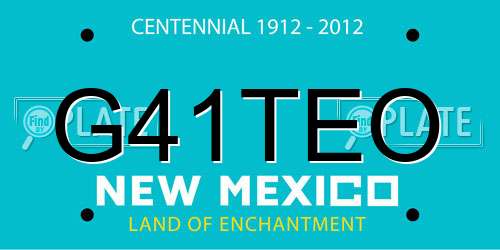G41TEO New Mexico License Plate
