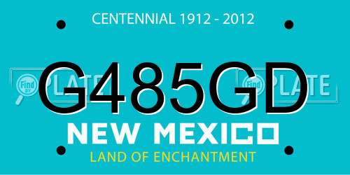 G485GD New Mexico License Plate